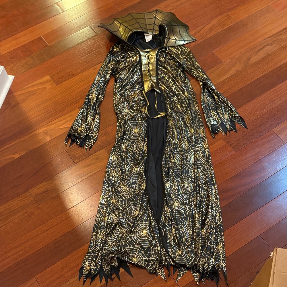 Gold and Black Spiderweb Costume Robe